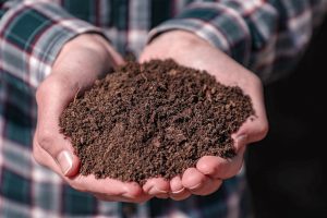 Kompostarten Kräuterbeeterde Kompostarten Kräuterbeeterde