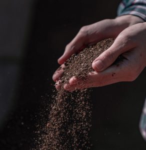 gemüsegartenkompost gemüsegartenkompost