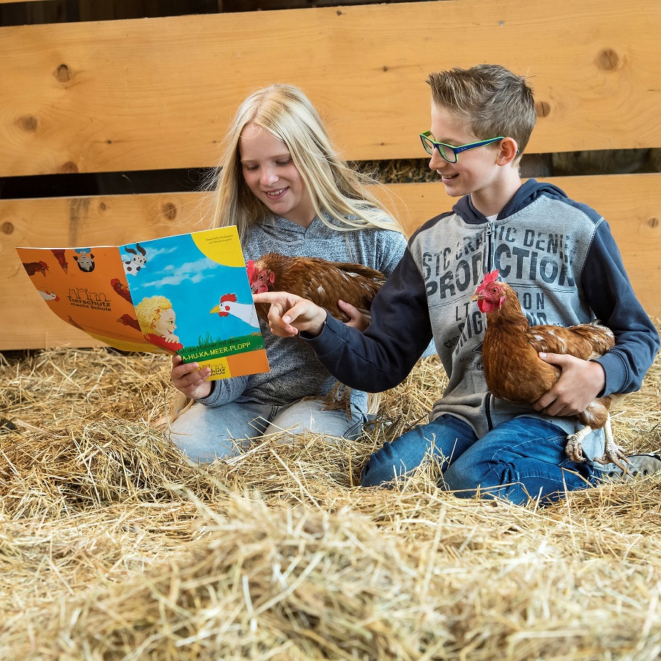 Schule am Bauernhof Kinder im Hühnerstall