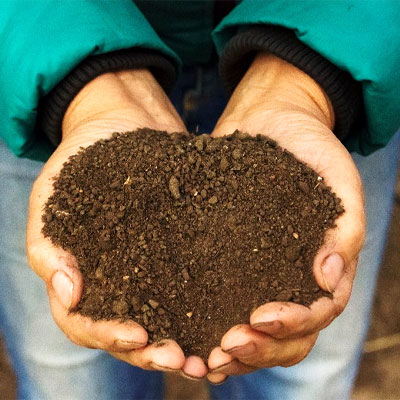 Kompost in Händen