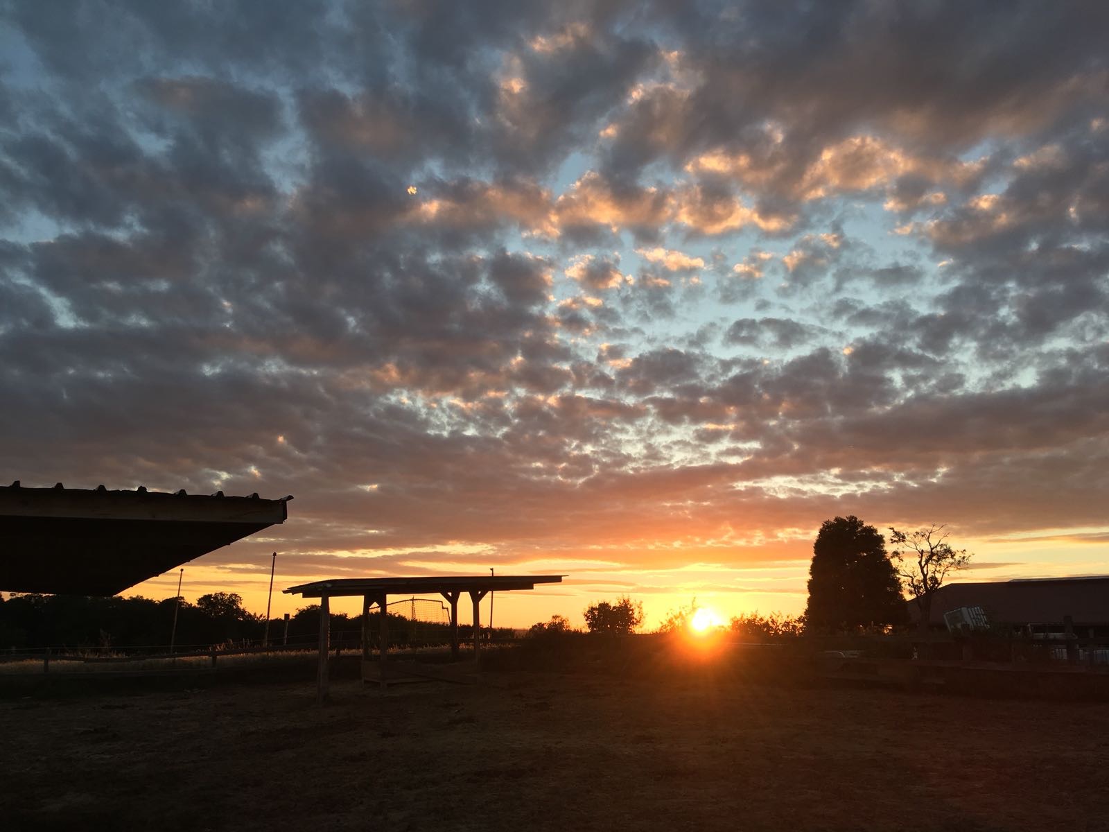 Pferdewelt Dreierhof Pferdewelt Dreierhof