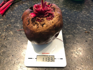 Kompost und Erde Rote Rübe Kompost und Erde Rote Rübe