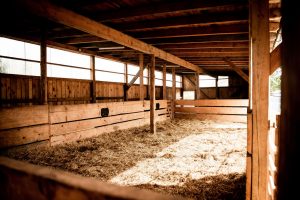 Offenstallhaltung Offenstallhaltung