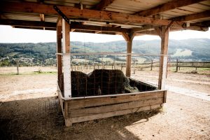 Heuraufe Offenstall Heuraufe Offenstall